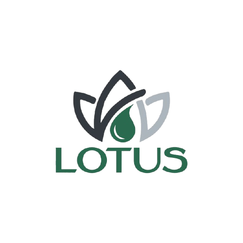Lotus Construction and Services